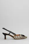 Julie Dee Pumps In Black Raffia In Black