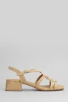 Julie Dee Sandals In Beige Suede In Multi