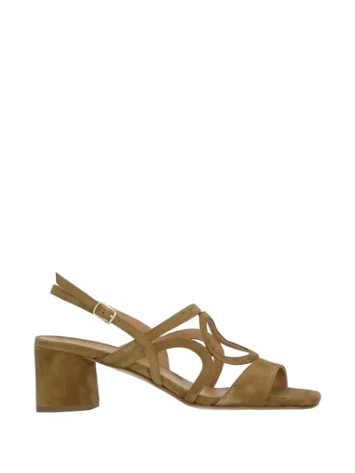 Julie Dee Strappy Suede Sandals In Black