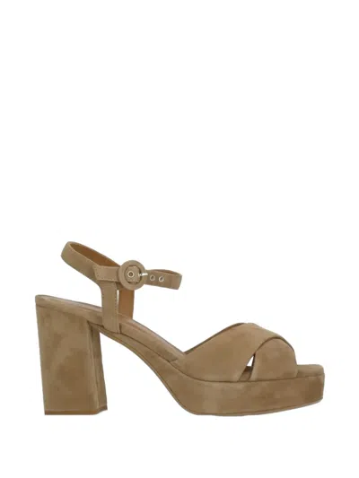 Julie Dee Suede Heeled Sandals In Brown