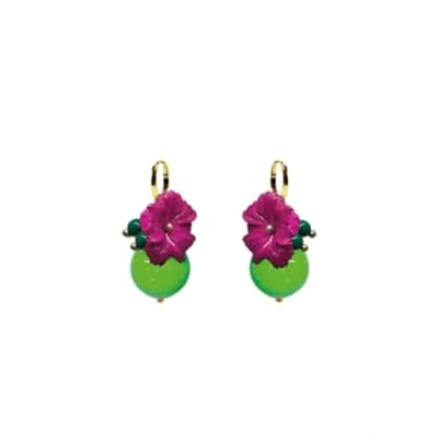 Julie Sion Boucles Oxford Fuchsia Vert In Green