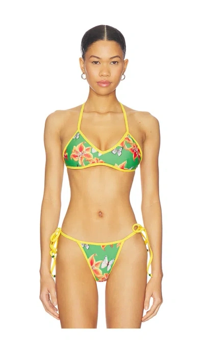 Juliet Johnstone Painted Lady Bikini Top In Green Lily