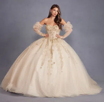 Juliet Jt1465h Long Ball Gown 3d Floral Sweet 16 Quinceanera Dress In Gold