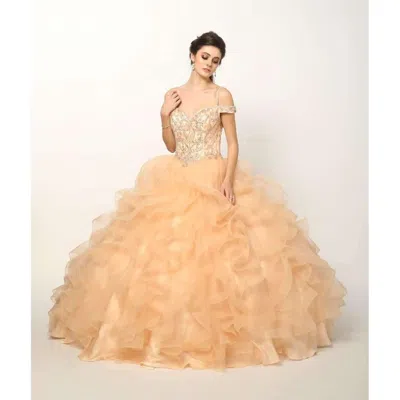 Juliet Long Ball Gown Off Shoulder Quinceanera Dress In Brown