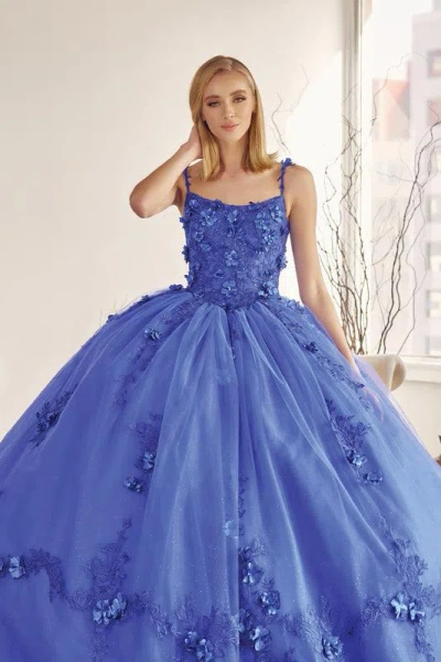 Juliet Long Quinceanera 3d Floral Cape Ball Gown In Blue