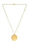 Julietta Coquille Necklace In Gold