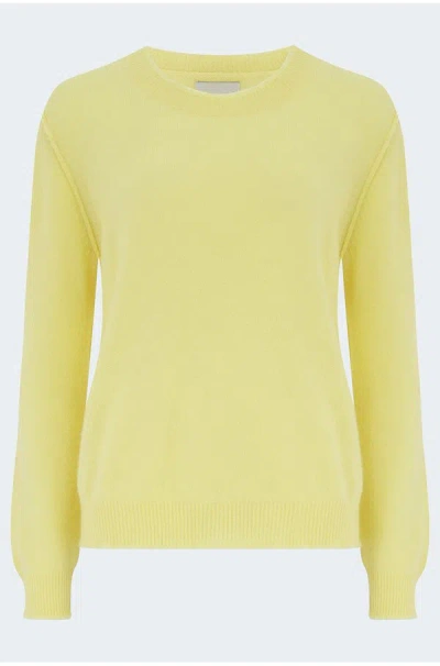 Jumper 1234 Distressed Crew In Glory In Yellow