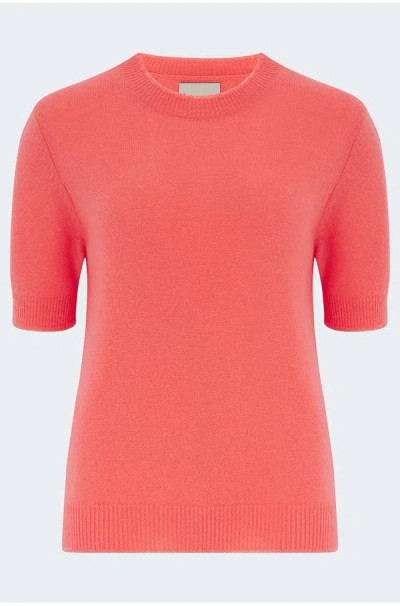 Jumper 1234 Distressed Knit T-shirt In Cerise In Pink