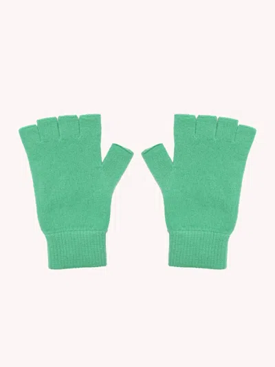 Jumper1234 Women's Fingerless Gloves In Green