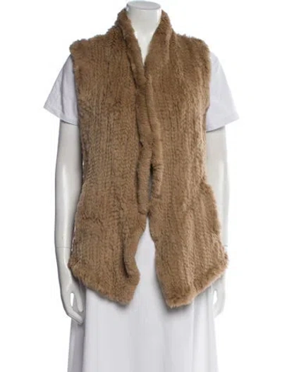 Pre-owned June Fur Fur Jacket In Brown