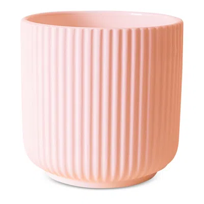 Jungle Club Lucy Pot, Small In Pink