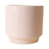 Jungle Club Parker Pot, Large