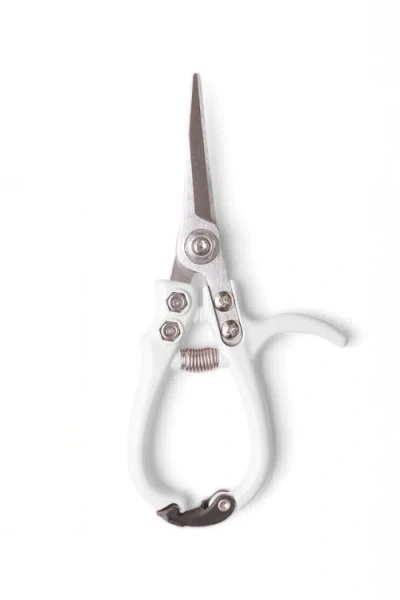 Jungle Club Pruning Shears In White