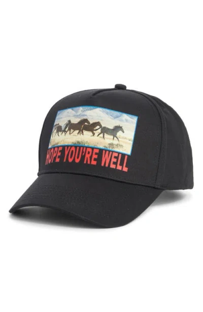 Jungles Horses Adjustable Baseball Cap In Black