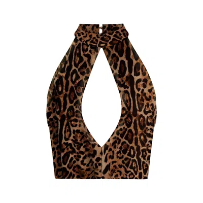 Junie Women's Brown Taylor Top - Leopard