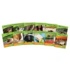 Junior Learning Blend Readers - Non-fiction Learning Set