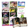 Junior Learning Decodable Readers Sound Families Rcontrolled In Multi