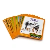 Junior Learning Educational Game Or Tool