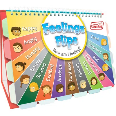 Junior Learning Flip Chart Feelings Flash Cards In Multi