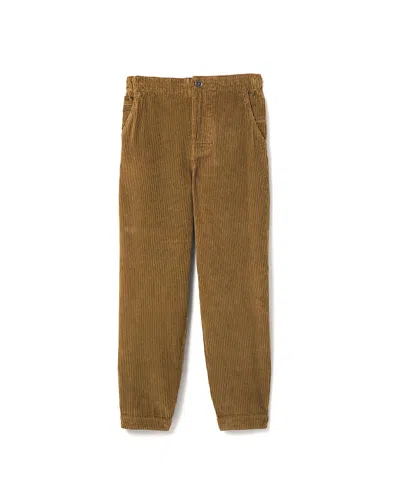 Junk Food Clothing Unisex Corduroy Easy Pant In Brown