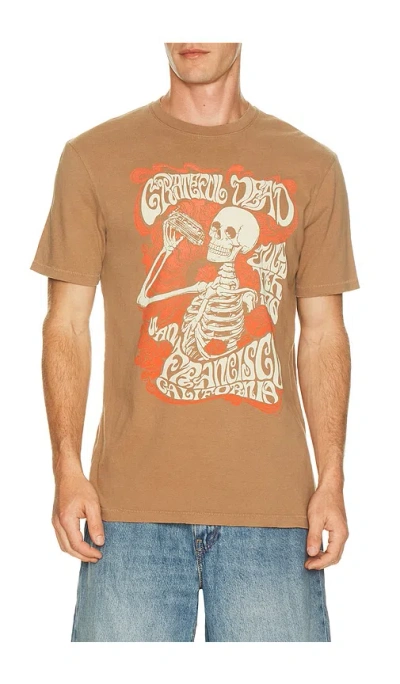 Junk Food Grateful Dead 1976 Sf Tee In Brown