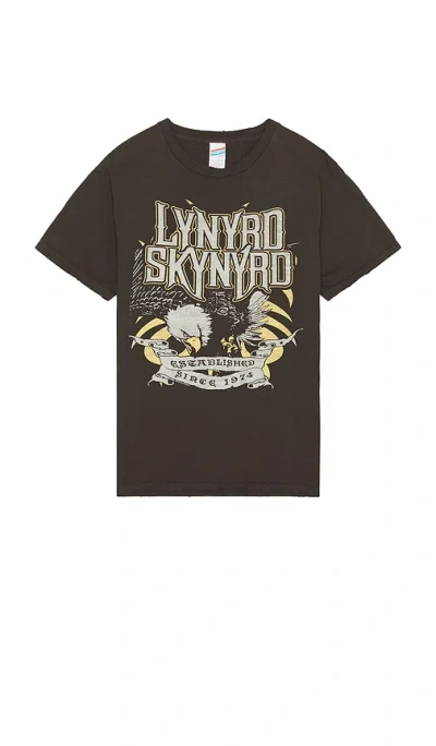 Junk Food Lynyrd Skynyrd Since 1974 Tee In Brown