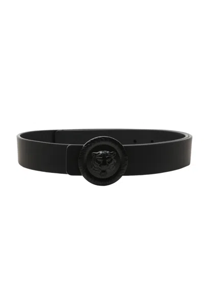 Just Cavalli - 899 Belt Black 74qb6f60zp299