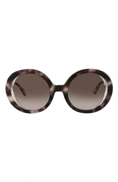 Just Cavalli 51mm Round Sunglasses In Havana Havana Brown