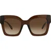 Just Cavalli Square-frame Acetate Sunglasses In Brown Brown Brown