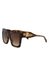 Just Cavalli 52mm Square Sunglasses In Havana Havana Brown