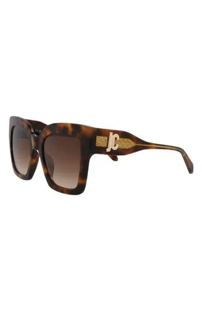 Just Cavalli 52mm Square Sunglasses In Havana Havana Brown