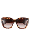 Just Cavalli 53mm Oversize Square Sunglasses In Brown