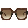 Just Cavalli 53mm Square Sunglasses In Brown Brown Brown
