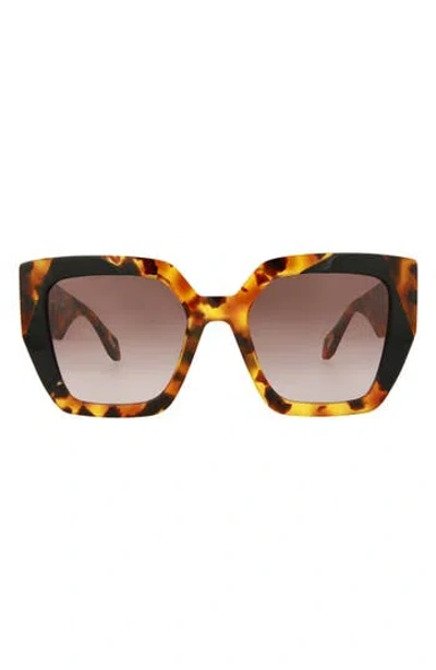 Just Cavalli 53mm Square Sunglasses In Havana Havana Brown