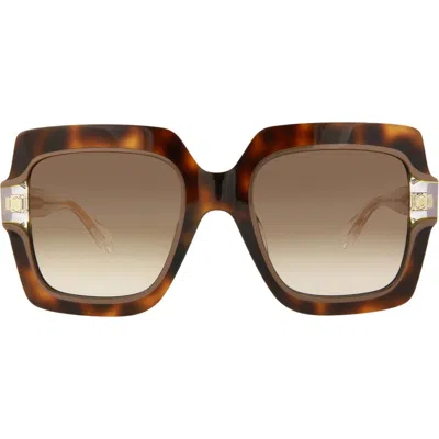 Just Cavalli 53mm Square Sunglasses In Havana Crystal Brown