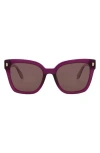 Just Cavalli 54mm Square Sunglasses In Violet Havana Brown