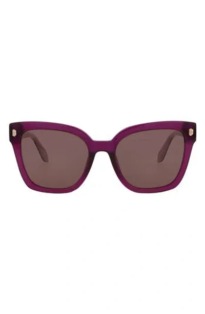 Just Cavalli 54mm Square Sunglasses In Violet Havana Brown