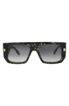Just Cavalli Navigator-frame Acetate Sunglasses Sunglasses Grey Size 56 Acetate In Grey Havana Grey Havana Smoke