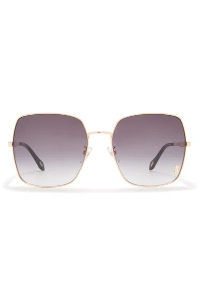 Just Cavalli 60mm Oversize Square Sunglasses In Gold Gold Smoke