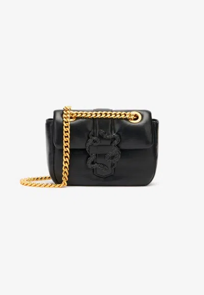 Just Cavalli _