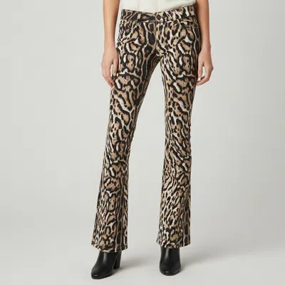 Pre-owned Just Cavalli Brown Leopard Print Denim Flared Jeans S/waist 30"
