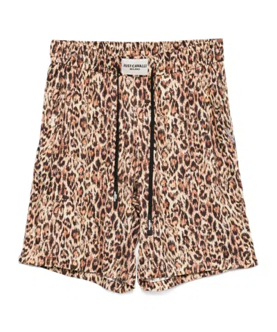 Just Cavalli Leopard-print Shorts In 褐色