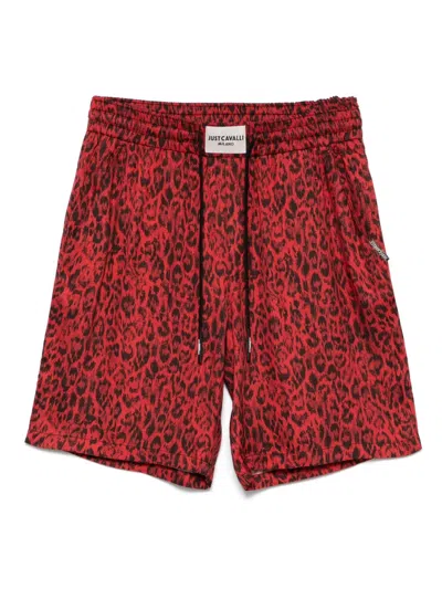 Just Cavalli Leopard-print Shorts In Red