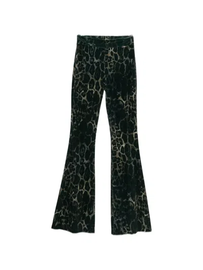 Just Cavalli Leopard-print Velvet-effect Flared Trousers In Black