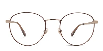 Just Cavalli Vjc017 Brown,gold