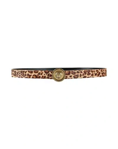 Just Cavalli Woman Belt Black Size 39.5 Calfskin
