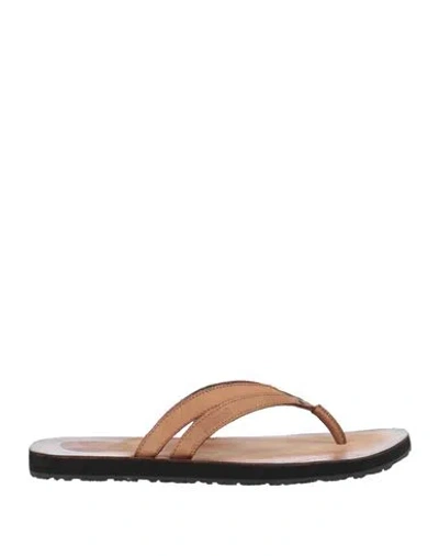 Just Cavalli Woman Thong Sandal Tan Size - Leather In Brown