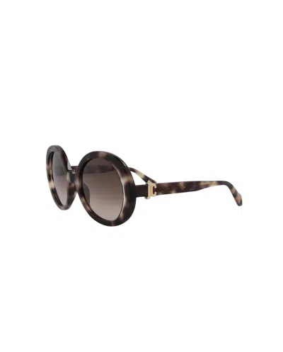 Just Cavalli Women's 51mm Brown Sunglasses