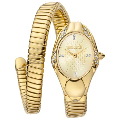 Just Cavalli Women's Watch Jc1l183m0025
