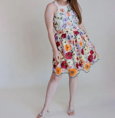 Just Me Seraphina Halter Mini Dress In Multi-color